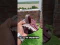 Narmdeshwer shivling for home purpose