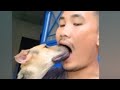 Firdaus yasin 96 is live