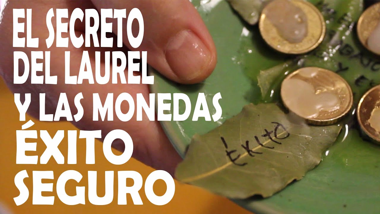 Atrae DINERO RAPIDO hechizo, amarre o ritual con LAUREL y Monedas para ...