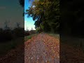 Avata 2 | autumn vibes #drone #fpv #dji  #avata2 #fields #dronepilot #autumn #anlatamam