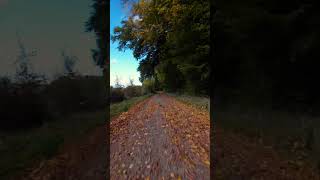 Avata 2 | autumn vibes #drone #fpv #dji #avata2 #fields #dronepilot #autumn #anlatamam