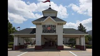 Oklahoma Aquarium in Jenks OK