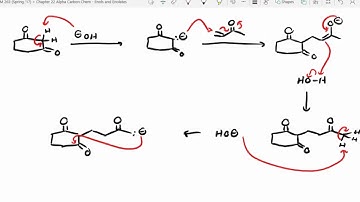 The Robinson Annulation