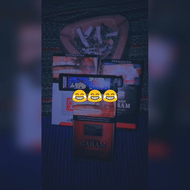 STORY WA 30 Detik Bodo Amat Mantan Bahagia😂
