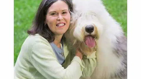 Video 2842811: pet grooming, cat grooming, pet bath, dog grooming, bath wash