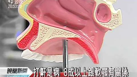 20120105-公視晚間新聞-打鼾是疾病 易呼吸中止.動脈硬化.mpg - 天天要聞