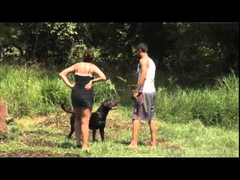 maryland-dog-training-jane-and-terrence