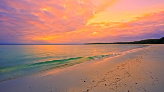 Pink Sunset on a Tropical Beach with Gentle Ocean Waves | Relaxing ASMR for Deep Sleep | 3H in 4K