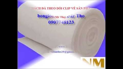 Bông lọc bụi G2 tp hcm