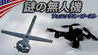 謎の新兵器【フェニックス･ゴースト】ウクライナへ提供されるアメリカ軍の攻撃ドローンとは？