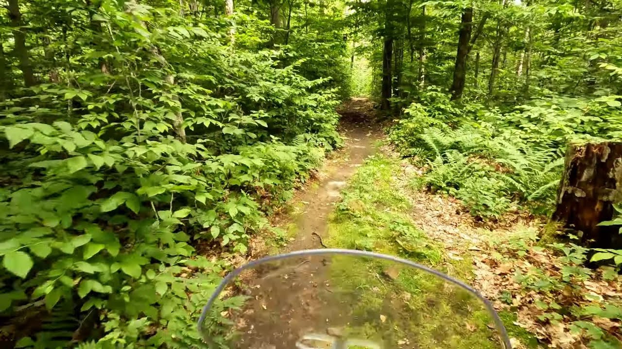 CB500X 2022 | Riding a single track trail in the woods