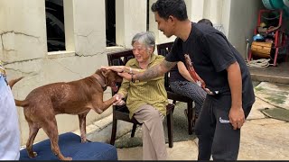 OMA SANGAT JATUH CINTA SAMA FLOKI ‼ INGIN PUNYA ANJING SEPERTI FLOKI