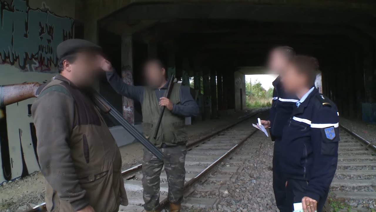 Открытие охоты! Они думают, что все позволено!