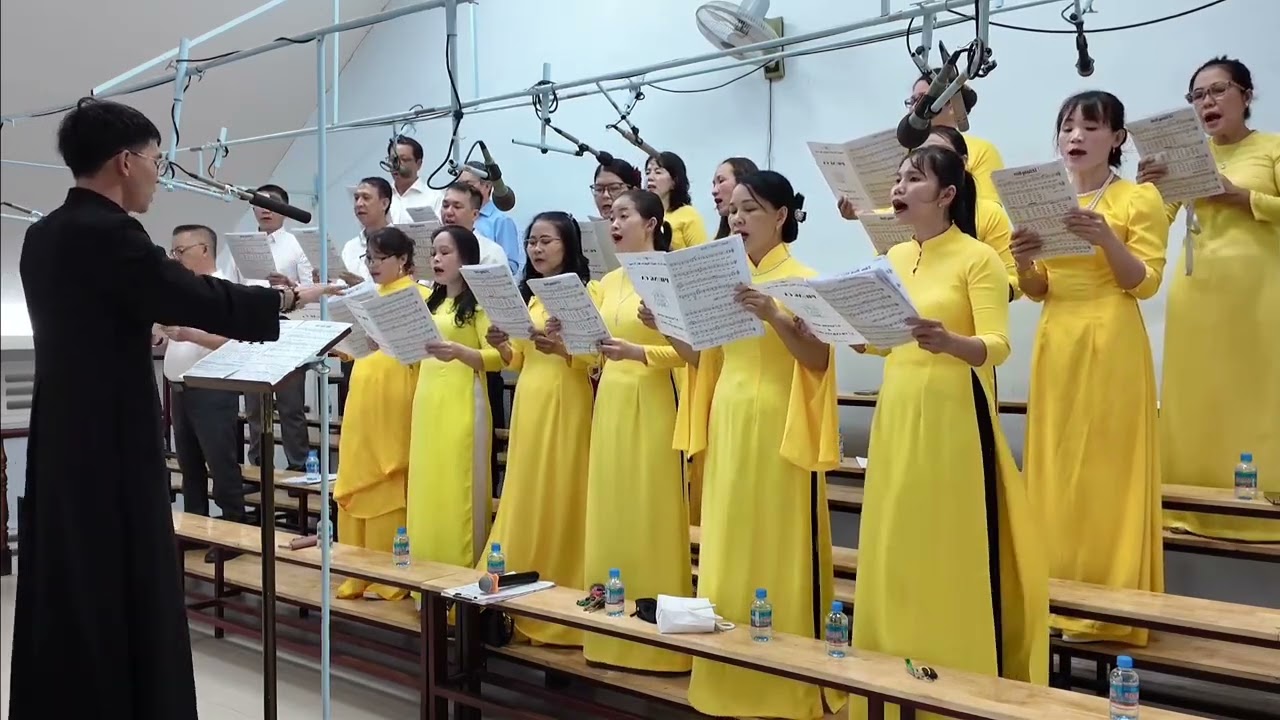 MỘT HÀI NHI.                                         Kim  Long