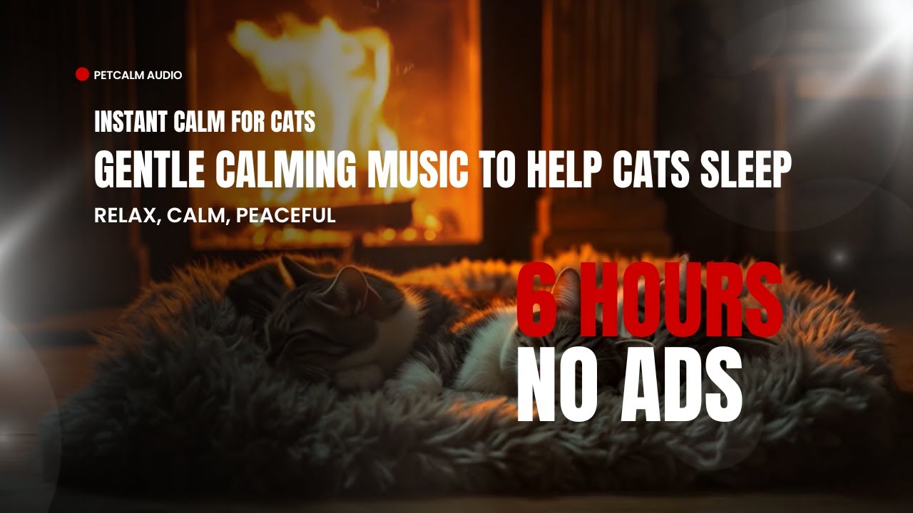 Piano Lullaby for Cats – Gentle Calming Music to Help Cats Sleep & Relax