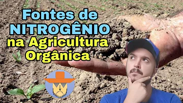 O que é o nitrogênio orgânico?