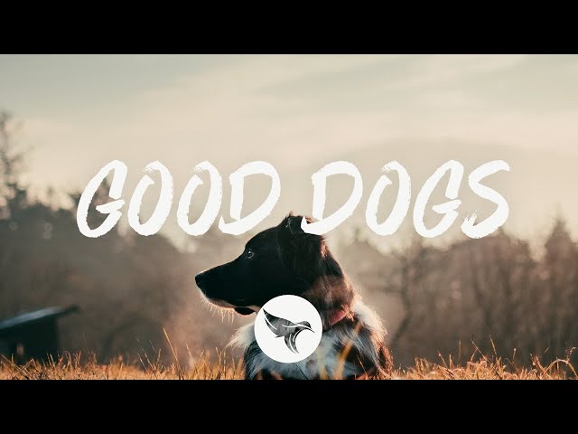 Jameson Rodgers - Good Dogs (Lyrics) - YouTube