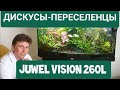 Дискусы- переселенцы. Малёк дискусов переезжает в бомбический травник. JUWEL 260L VISION. Выпуск 17.