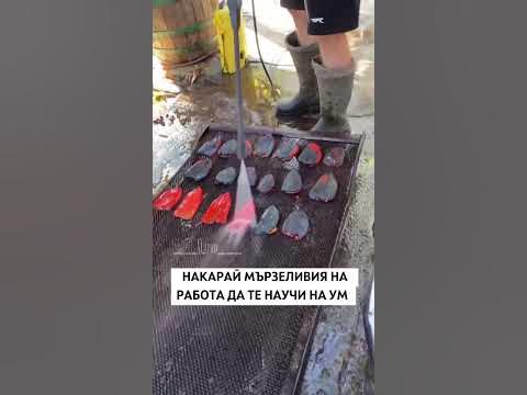 Наш народ непобедим #българия #bulgaria #bg #бг #меме #meme #memes # ...
