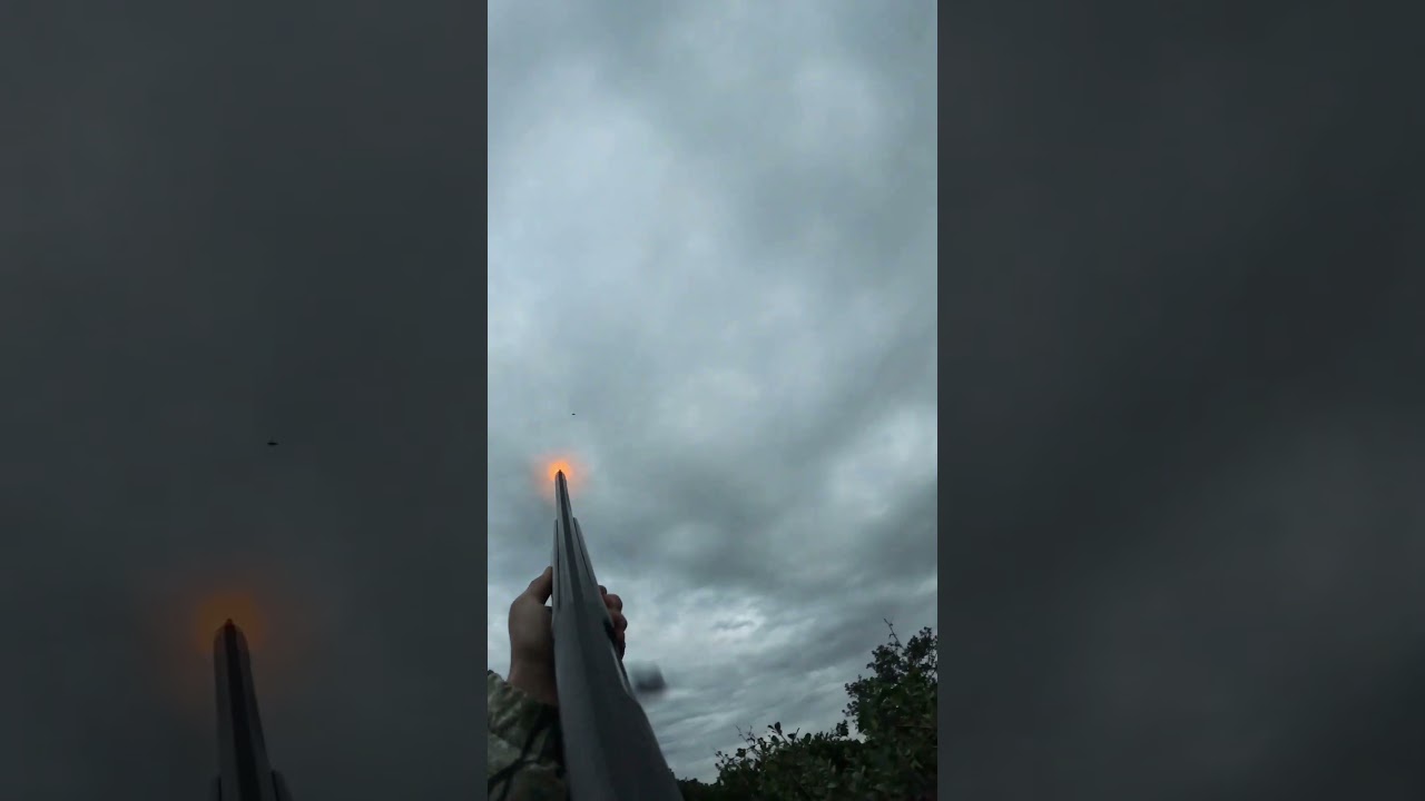 CHASSE GRIVES 2022-2023 