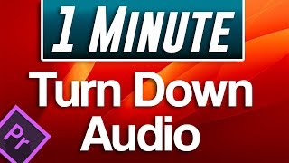 How to Turn Down Audio in Premiere Pro