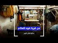 من قرية فوه للعالم حكاية فنان كليم