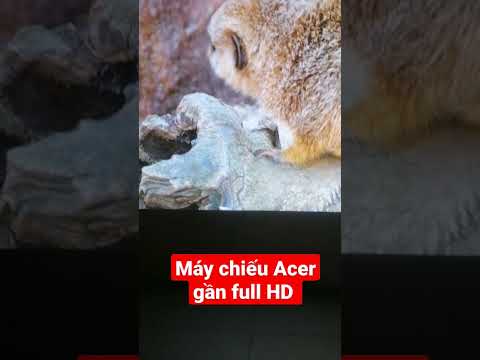 Máy chiếu Acer H6517st full HD. #shorts