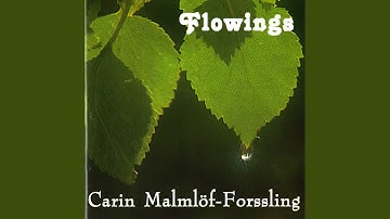 String Quartet No. 1, "Silverkvartetten" (Silver Quartet) : I. Allegro vivace