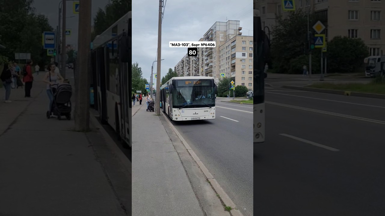 автобус МАЗ-203, борт №6406, маршрут 80 | 