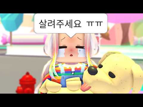 1년만에 입양하세요 들어가면 생기는 일