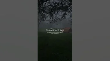 وان ليس للإنسان إلا ما سعى محمد اللحيدان 
