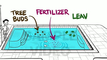 New Pool Plaster: Care, Brushing, Chemistry