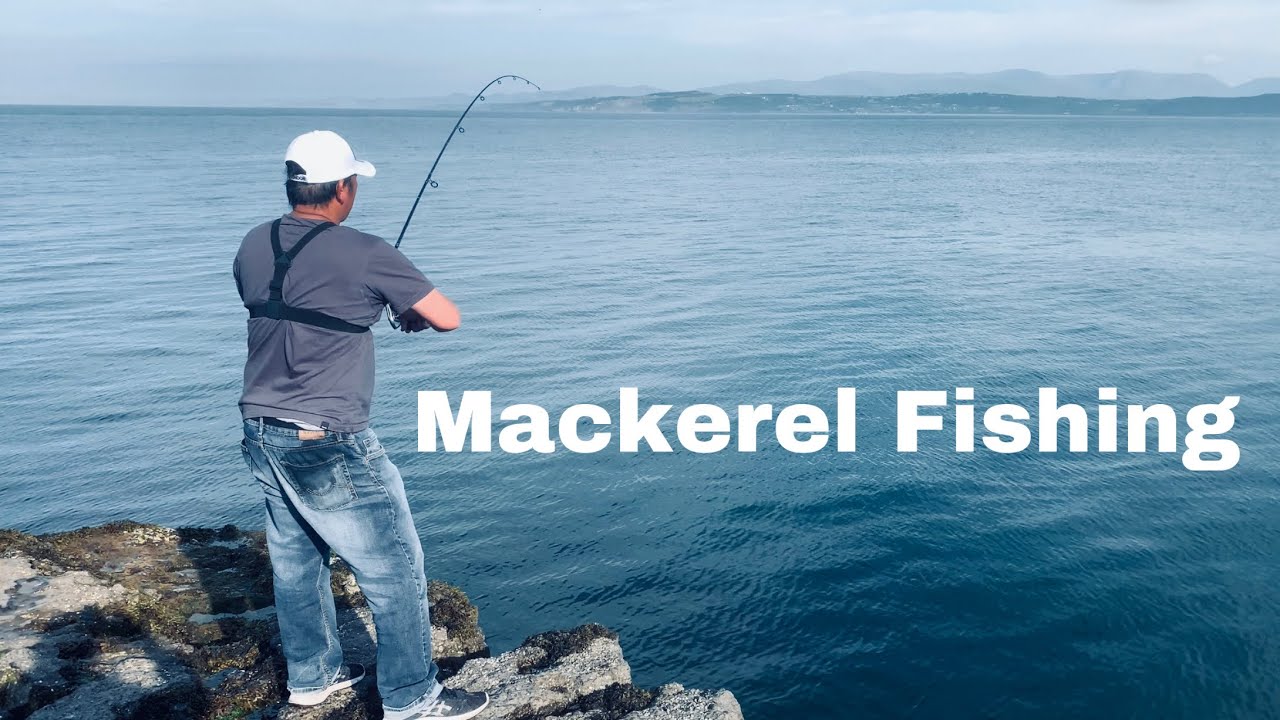 Mackerel Fishing in Anglesey YouTube
