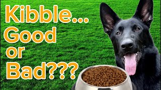 Dog Food Kibble...Convenient, Easy but is it SAFE??? by German Shepherd Man Official Channel 1,292 views 2 months ago 3 minutes, 36 seconds