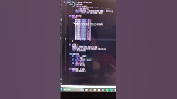 The only true way to use Python 🌸