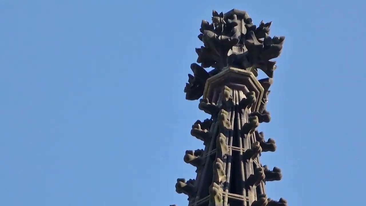 Пойдём посмотрим #Прага2026 #февраль #улицыгорода #улица #поездка #streettoday #streetstyle #story 