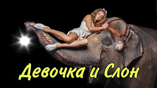 Курск Цирк Девочка и Слон ЦИРК Лучшее