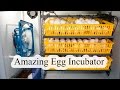 Egg Incubator Review and Operation