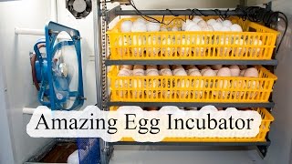 Egg Incubator Review and Operation