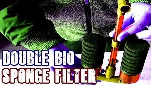 How To: Setup a Double Bio Sponge Filter