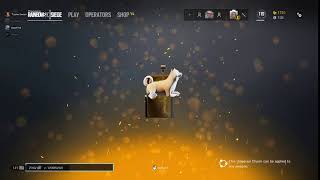 Doge Charm R6 WoW