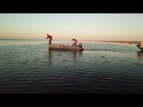 Қария мен теңіз. Арал теңізі туралы фильм / The Old Man And The Aral Sea
