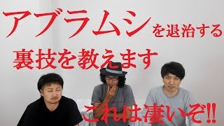 アブラムシ駆除の方法 超効く裏技を教えます Flowertv Youtube