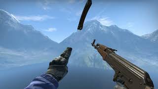 [CS:SO] AK-47 w/ Battlefield: Hardline-style animations