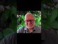 DMT Entities: Beyond Human Consciousness &amp; Elf Machines #shorts