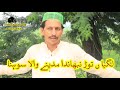 لگیاں توڑ نبھاندا مدینے والا سوہنا