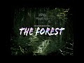 THE FOREST | Cinematic Drone - by Megumi Yagimoto