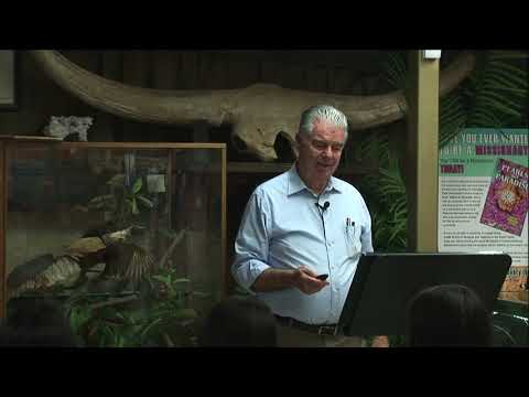 Archaeopteryx Feathers Are