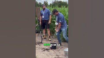 Soil Testing: Dos and Don