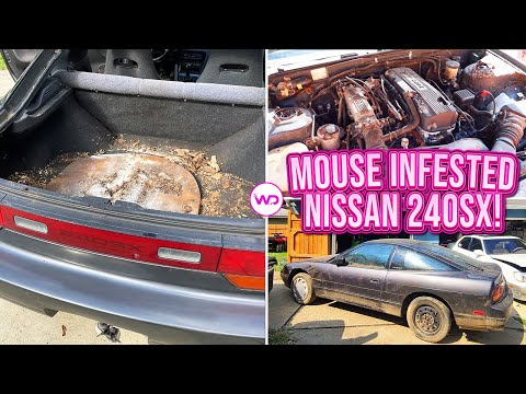 MOUSE INFESTED Nissan 240SX Gets First Detail In 20 Years! Satisfying Car Detailing Restoration